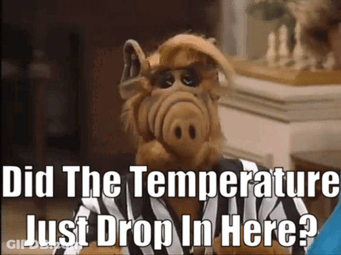 Did Temperature Drop Here Gordon Shumway ALF GIF