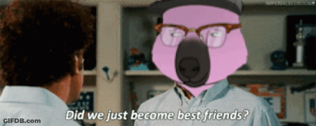 Did We Just Become Best Friends Cat Dog GIF