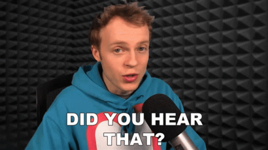 Did You Hear That Noise GIF