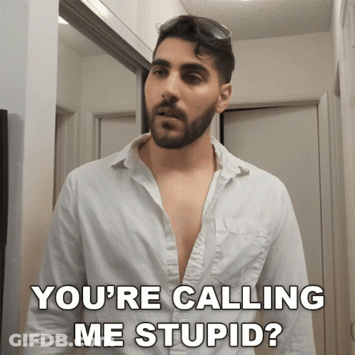 Did You Just Call Me Im Dumb GIF