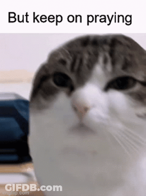 Did You Pray Today Meme Keep On Praying GIF