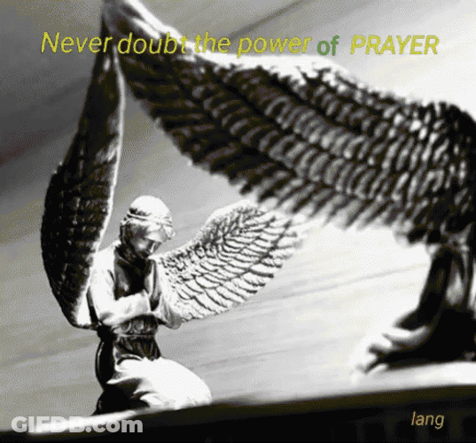 Did You Pray Today Meme Never Doubt Prayer GIF