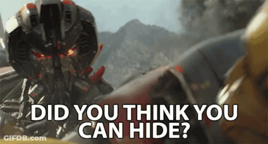 Did You Think You Can Hide GIF