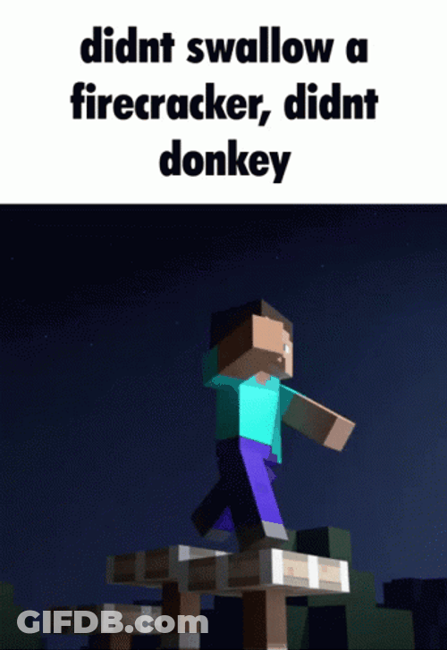 Didn't Swallow A Firecracker Donkey GIF
