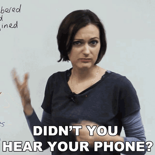 Didn't You Hear Your Phone GIF