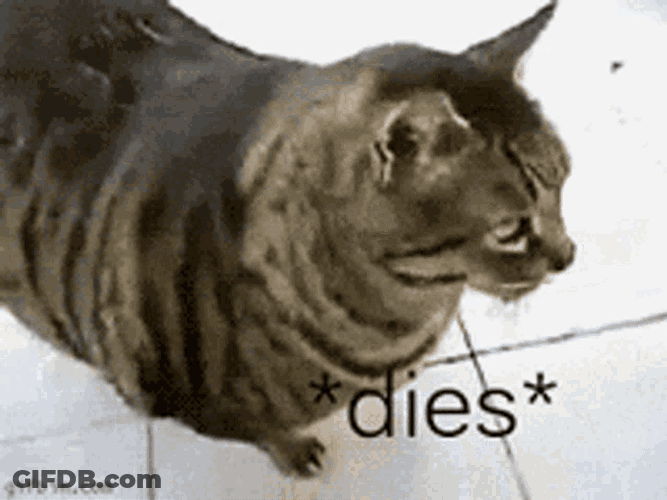 Dies Of GIF