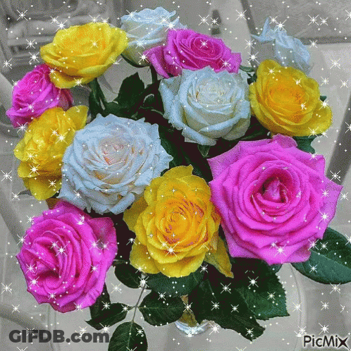 Different Colored Roses In Vase Picmix GIF