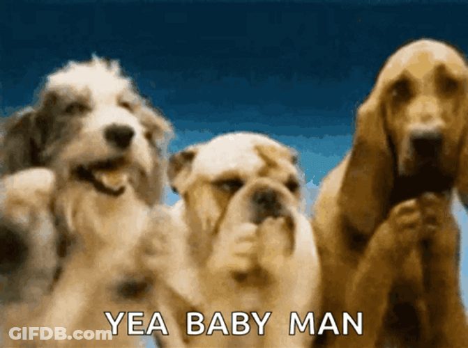 Different Dog Man Clapping GIF