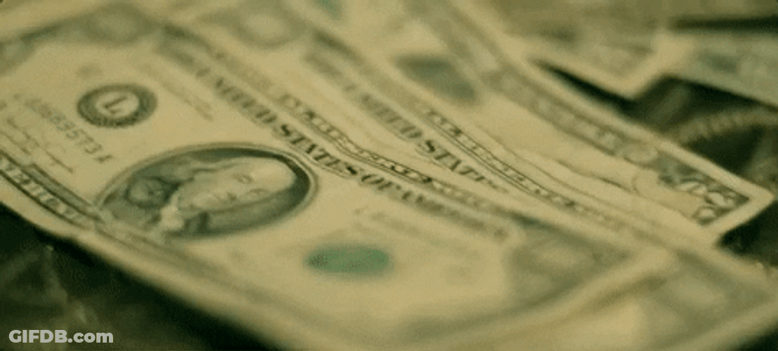 Different Kinds Of Dollar Bills GIF