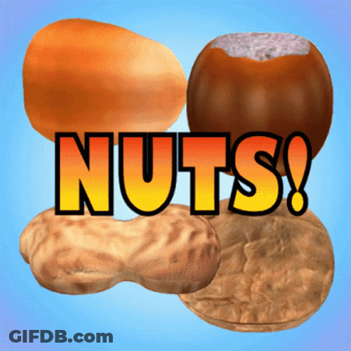 Different Kinds Of Nuts GIF