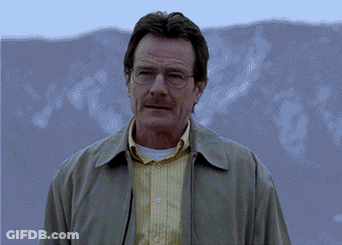 Different Look Walter White Meme GIF