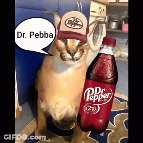 Different Sosa Cats GIF