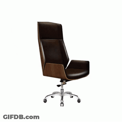 Different Types Of Chair GIF
