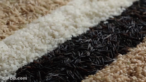 Different Types Of Rice Are Laid Out In Rows GIF
