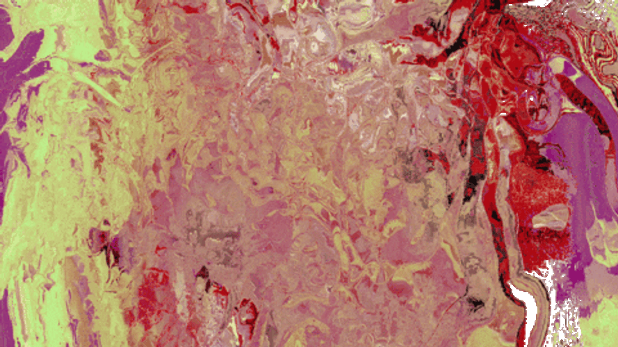Digital Painting Illusion GIF