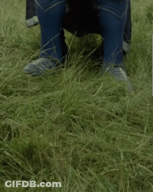 Dilly Dilly Bud Light Knight GIF