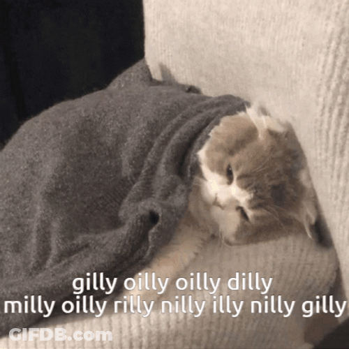 Dilly Dilly Confused Cat GIF