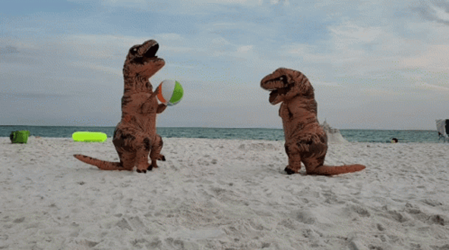 Dino Playing Ball On Funny Beach GIF