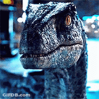 Dinosaur Close Up Looking At Camera GIF