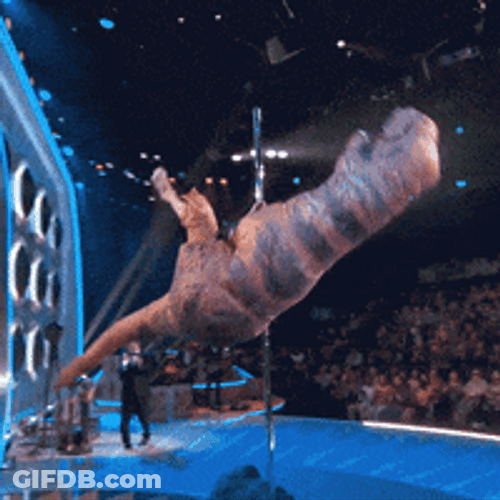 Dinosaur Dance Swinging On Pole GIF