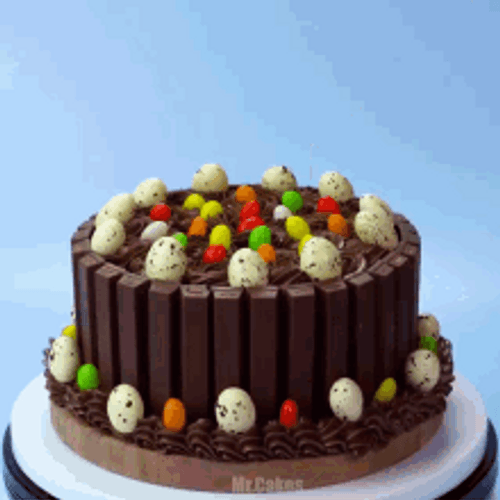 Dinosaur Egg Chocolate Cake GIF