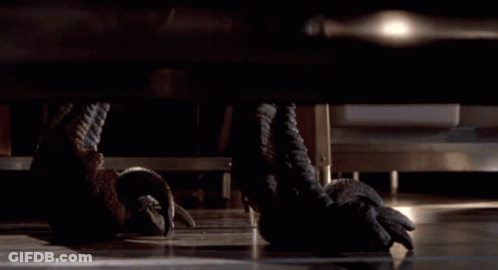 Dinosaur Feet Close Up GIF