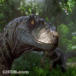 Dinosaur Head With Yellow Eye GIF