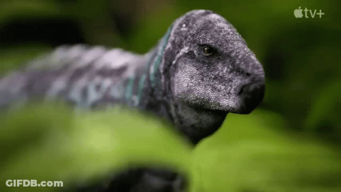 Dinosaur In Grass With Apple TV+ Logo GIF