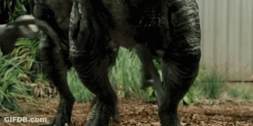Dinosaur Legs And Feet Close Up GIF