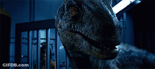 Dinosaur Mouth And Teeth In Dark Room GIF