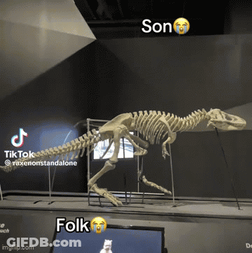 Dinosaur Skeleton Next To Screen Saying Son And Folk GIF
