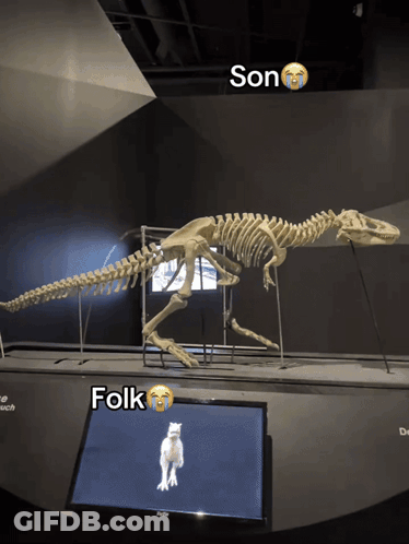 Dinosaur Skeleton Son And Folk GIF