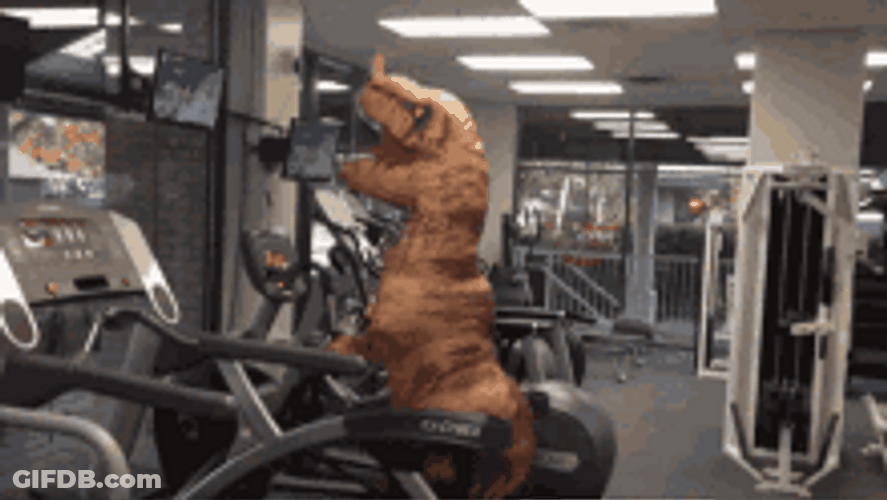 Dinosaur Workout Costume GIF