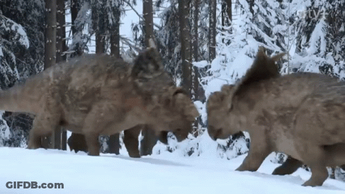 Dinosaurs Standing In Snow In Forest GIF