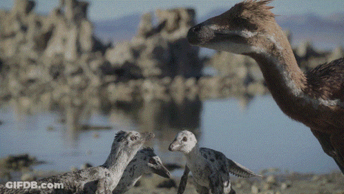 Dinosaurs Standing Near Water GIF