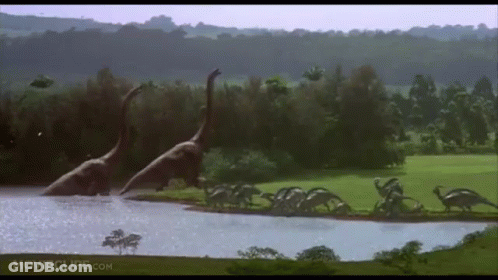 Dinosaurs Swimming In River GIF