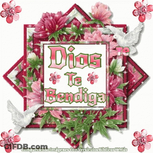 Dios Te Bendiga Is Written In Green Letters On A Pink Background GIF