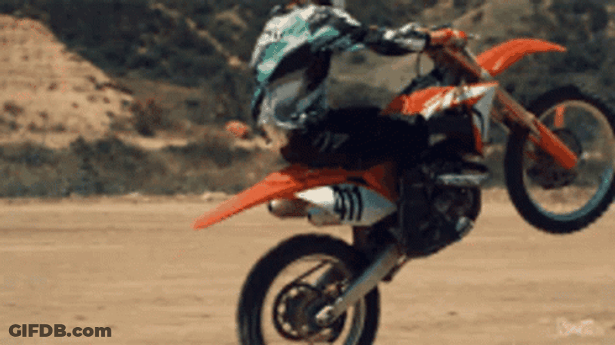 Dirt Bike Wheelie Display GIF
