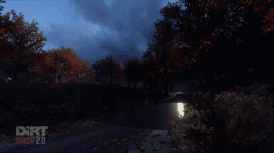 Dirt Rally Ford Car Aquaplaning Cool Comeback GIF