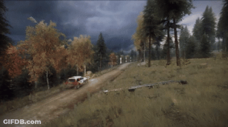 Dirt Rally Game New Location Scotland GIF