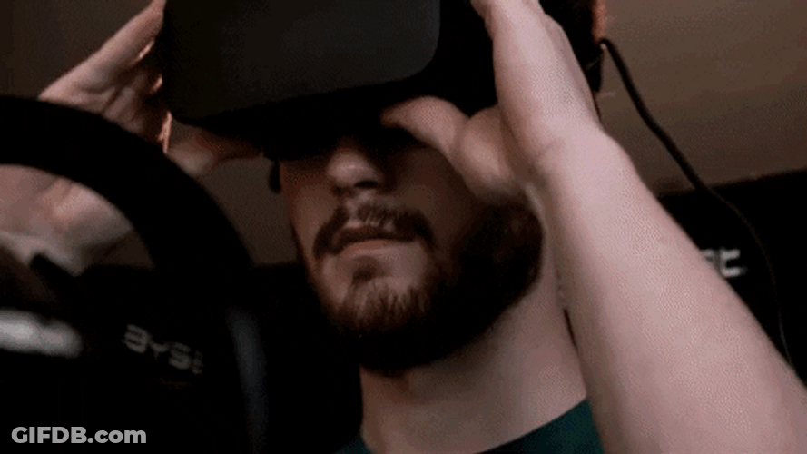 Dirt Rally Game Virtual Driving Simulator GIF