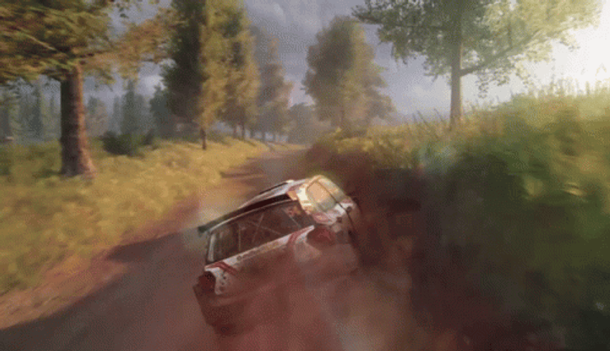 Dirt Rally Racing Game Ford Focus WRC Car Flipping GIF