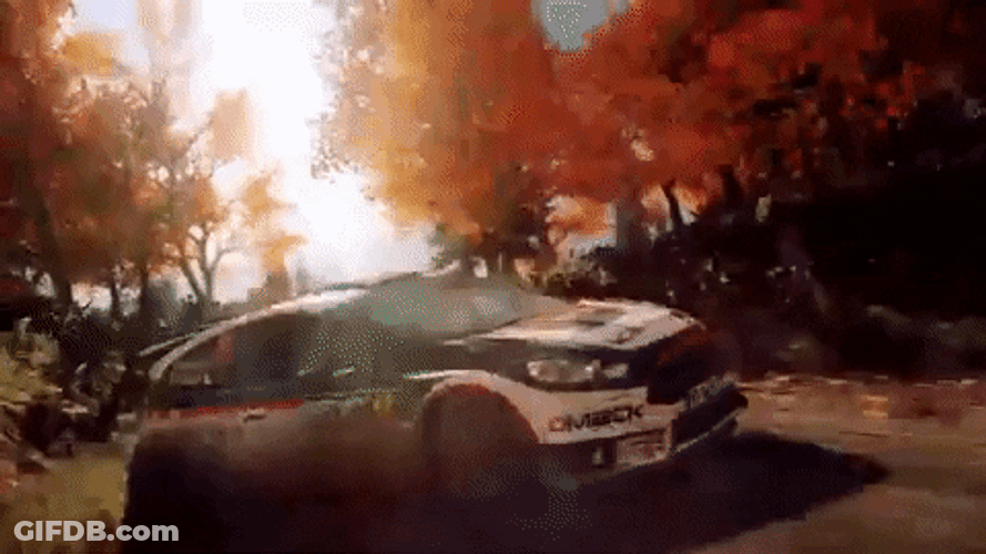 Dirt Rally Video Game Review IGN GIF