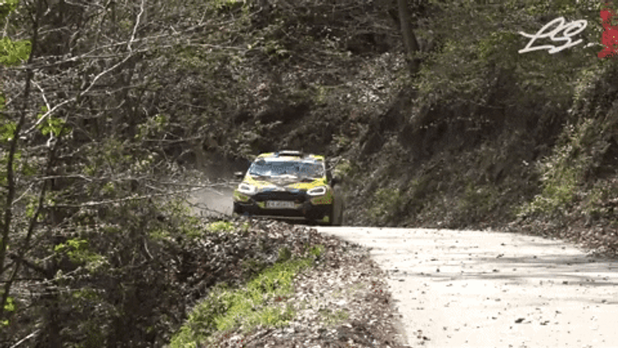 Dirt Rally World Championship Ford Focus WRC Car GIF