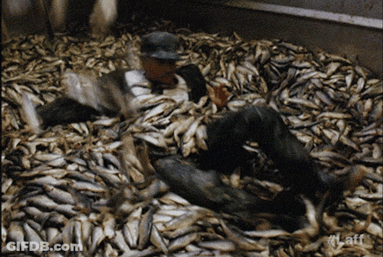 Dirty Gross Fish Pool GIF