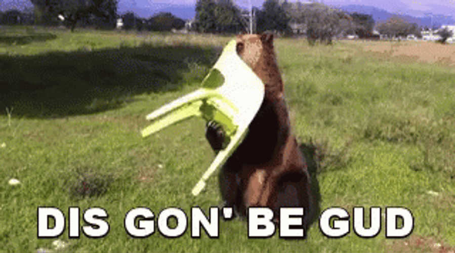 Dis Gon Be Good Sitting Bear GIF