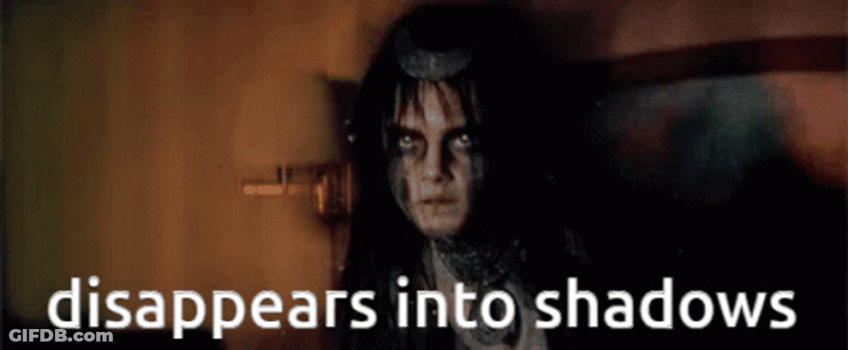 Disappear Into Shadows Meme GIF
