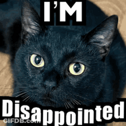 Disappointed Black Cat GIF