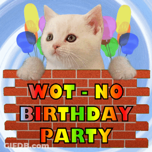 Disappointed Cat Birthday Celebration GIF