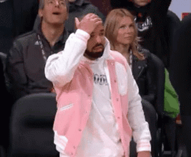 Disappointed Drake Facepalm GIF